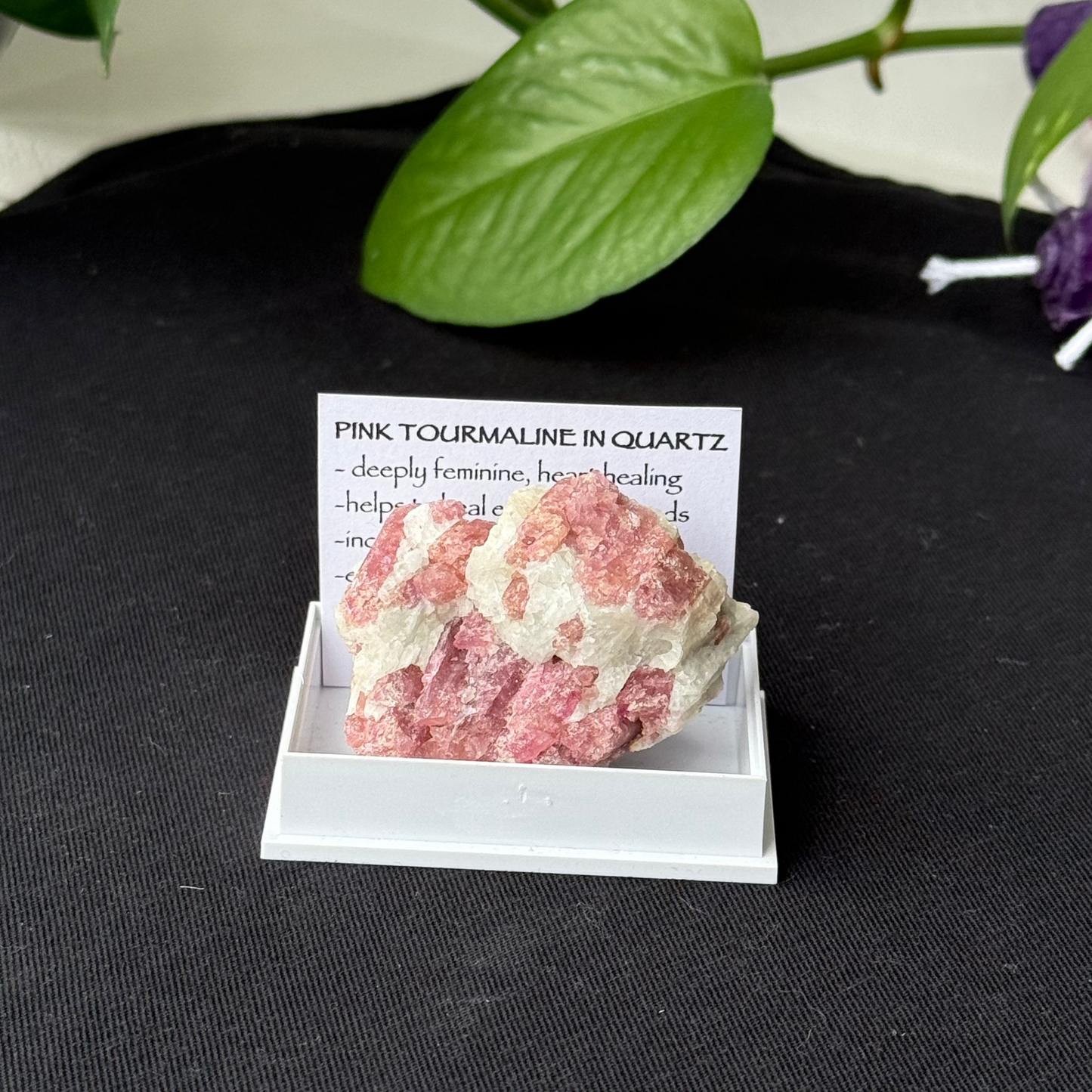 Pink Tourmaline in Quartz - A - Specimen