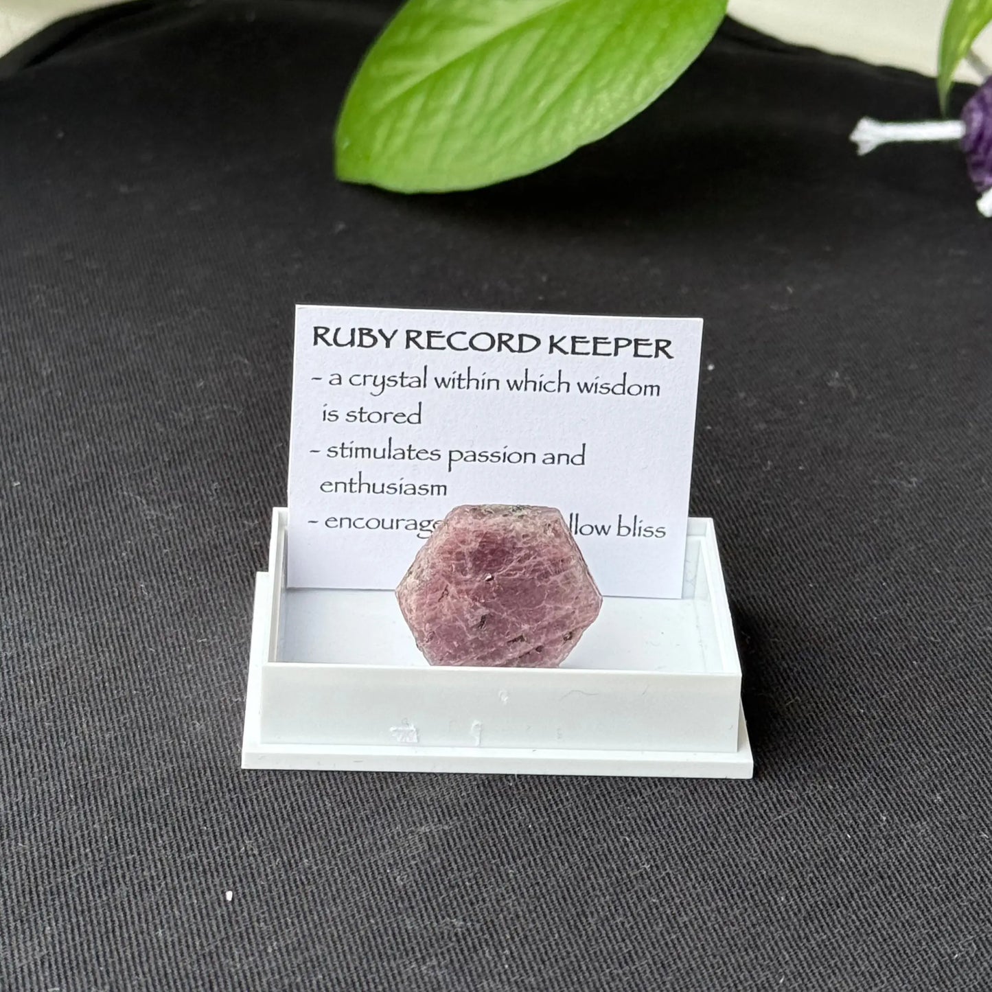 Ruby Record Keeper - B- Specimen The Spiritual Toolbox