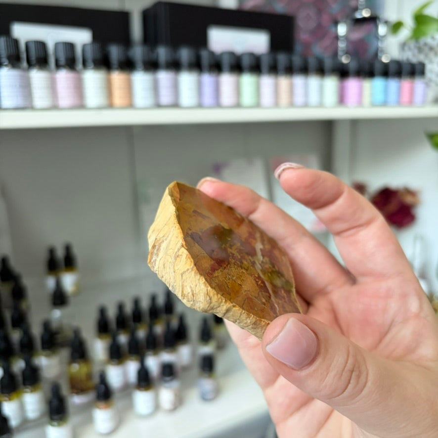 Petrified Wood Crystal Specimen | AUS