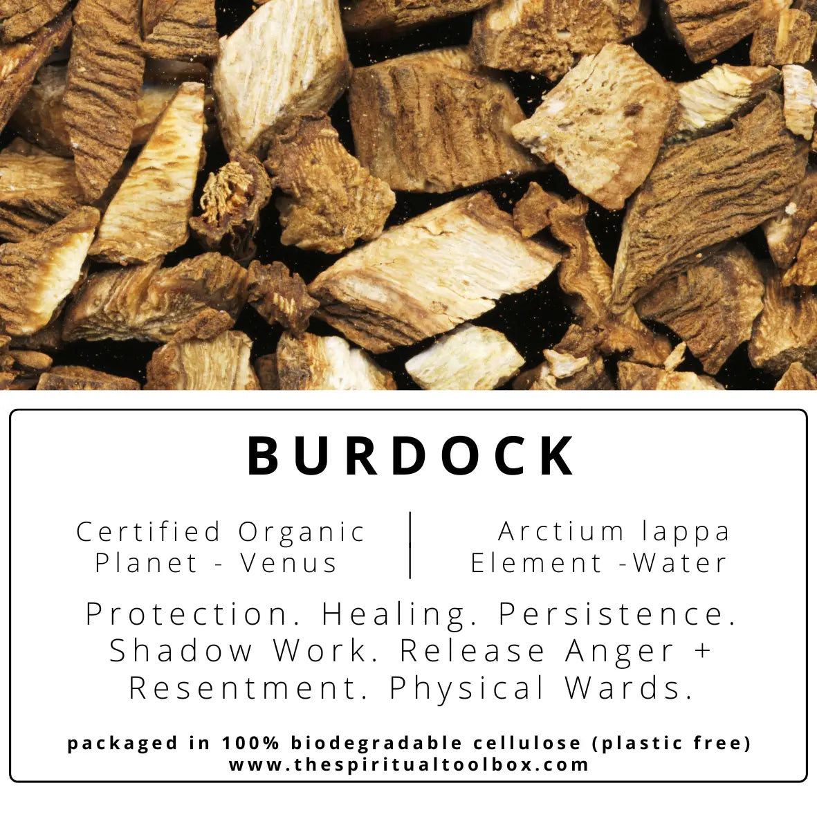 Burdock | Protection - Healing - Purification - Grounding The Spiritual Toolbox