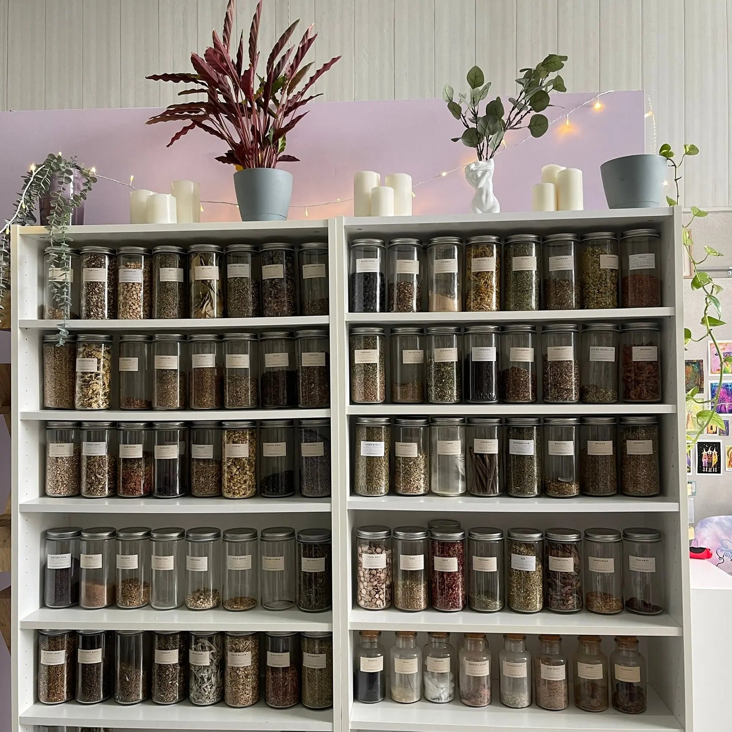 Herbs (ALL STOCK) The Spiritual Toolbox