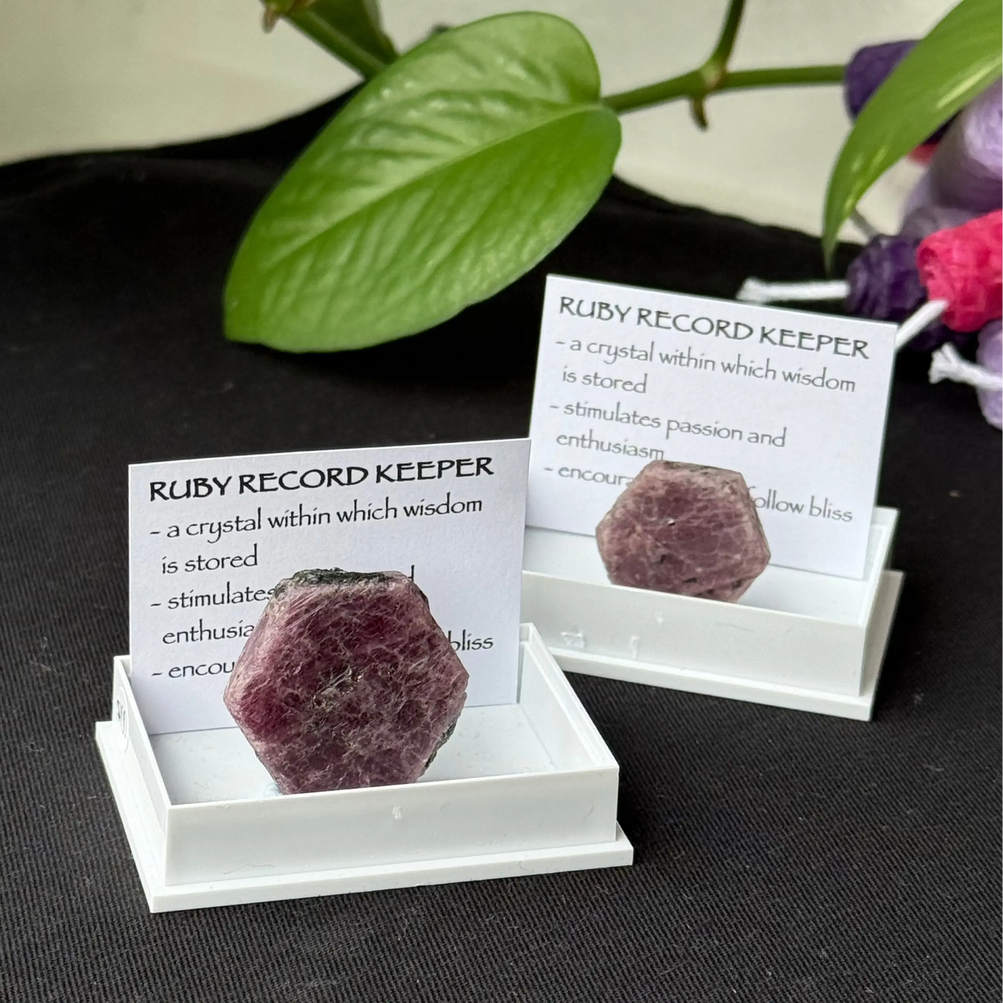 Ruby Record Keeper - A - Specimen The Spiritual Toolbox