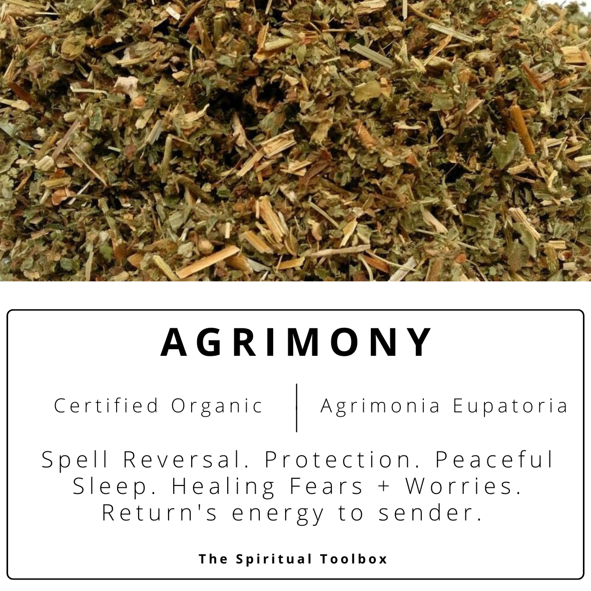 Agrimony | Protection - Reversals - Overcoming Fears - Return to Sender