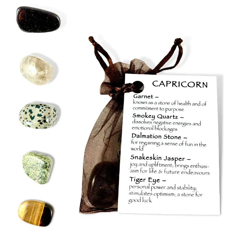 CAPRICORN ZODIAC CRYSTAL KIT The Spiritual Toolbox