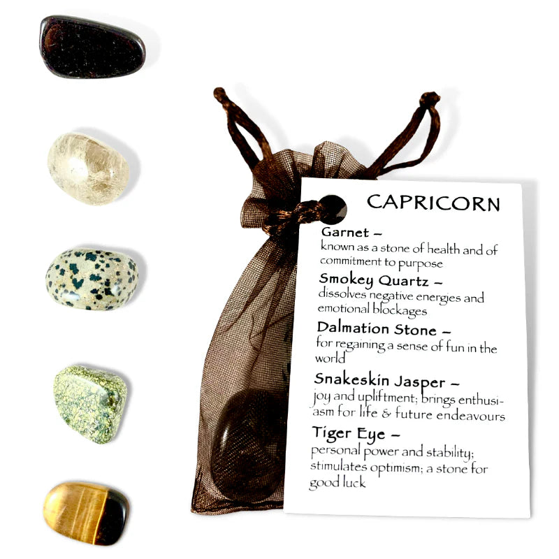 CAPRICORN ZODIAC CRYSTAL KIT
