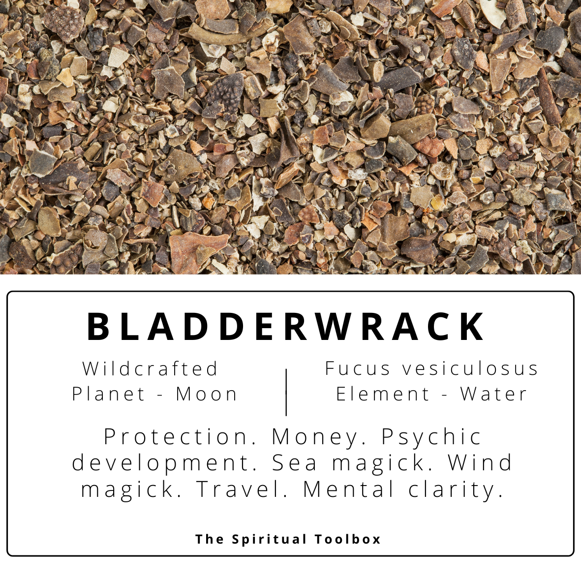 Bladderwrack | Sea magick - Healing - Prosperity - Psychic Powers