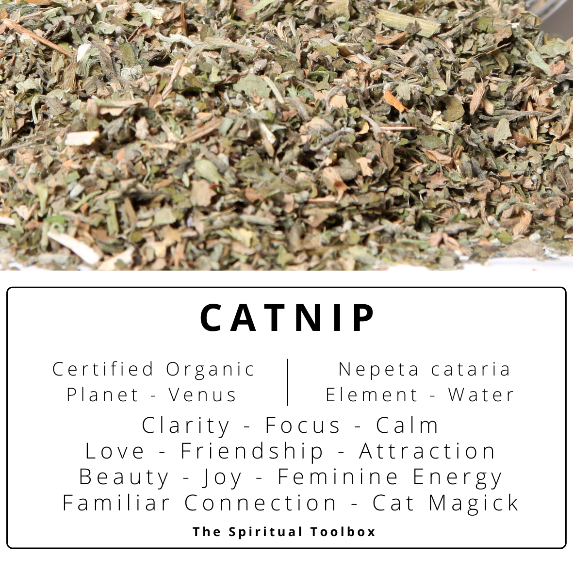 Catnip | Love - Beauty - Happiness - Cat Magic