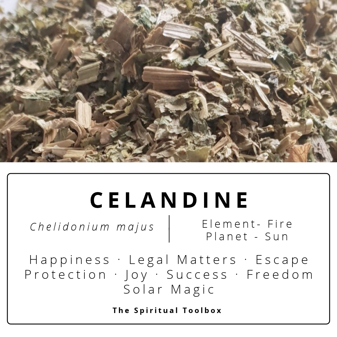 Celandine | Happiness - Legal Matters - Escape - Joy - Freedom