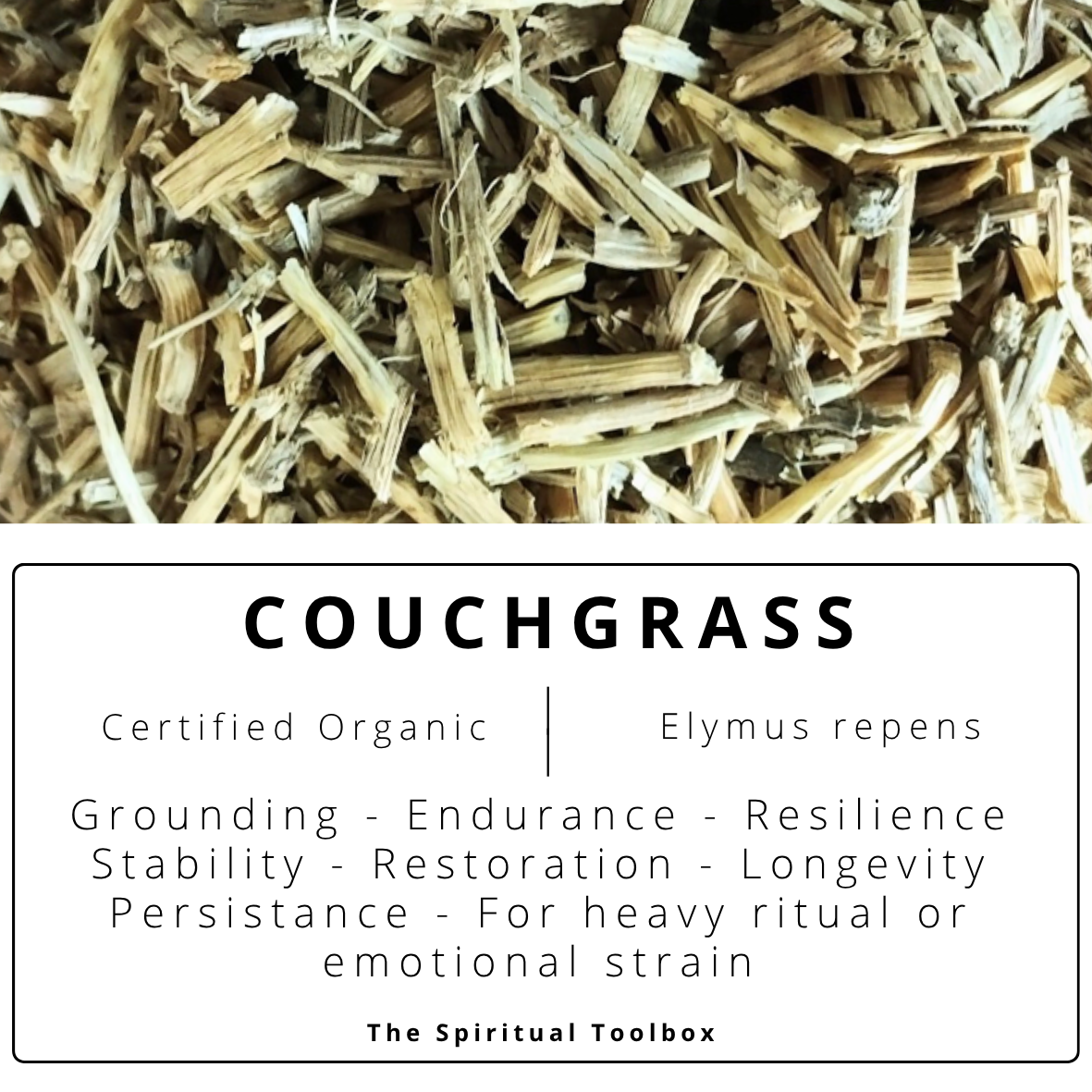 Couchgrass | Grounding - Stability - Endurance - Resilience
