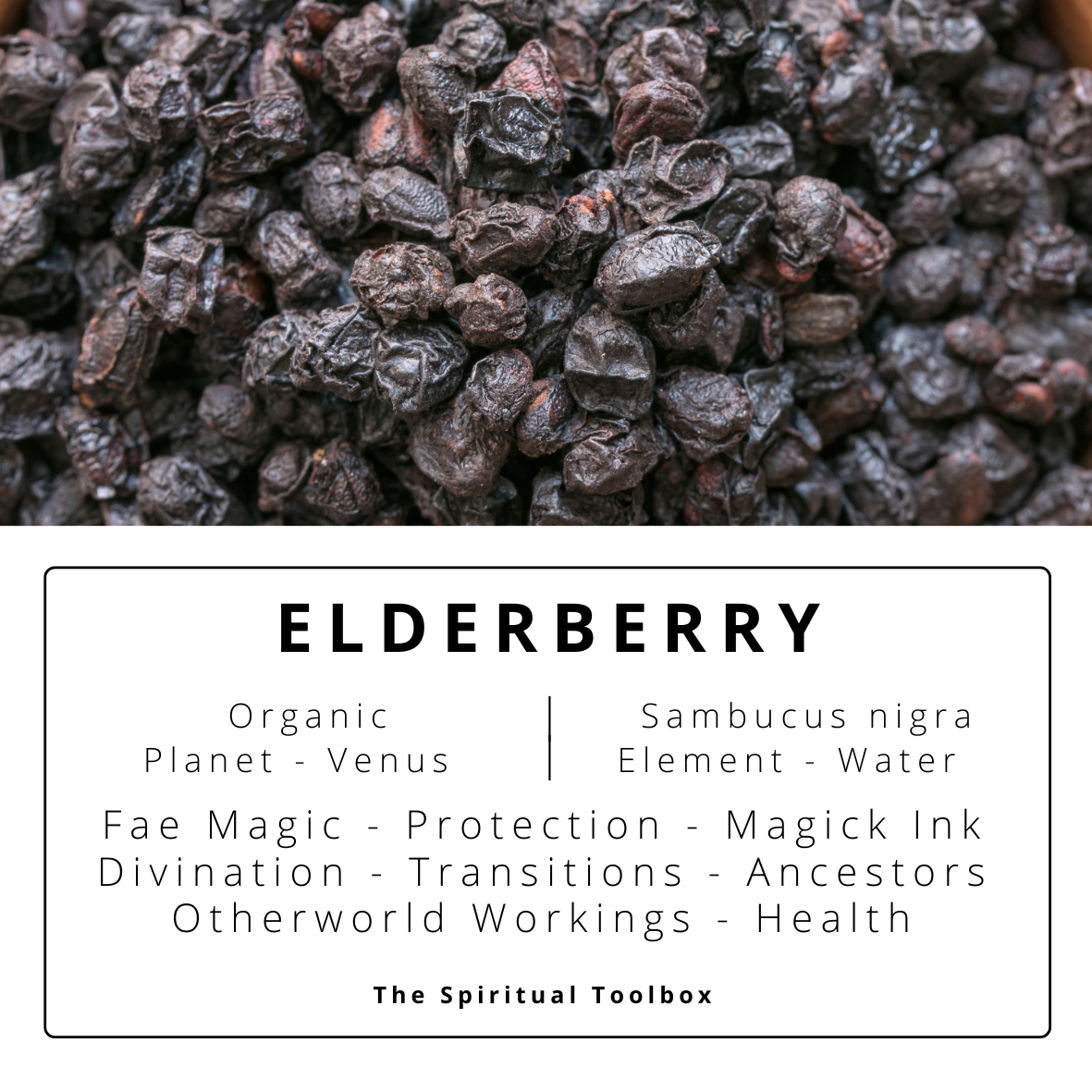 Elderberry | Magick Ink - Health - Protection - Fae - Otherworld Workings