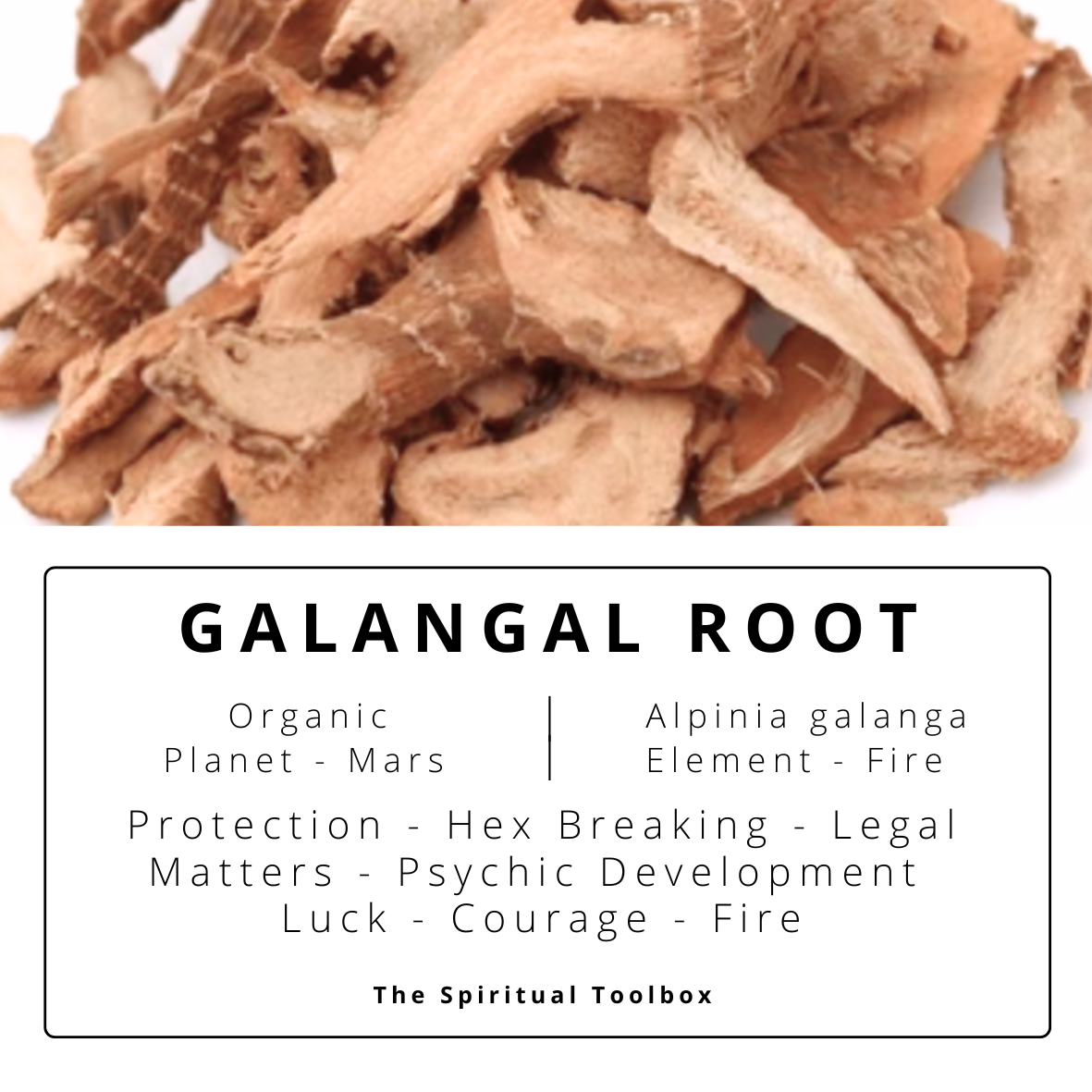 Galangal | Protection - Hex-Breaking - Legal Matters - Psychic Development