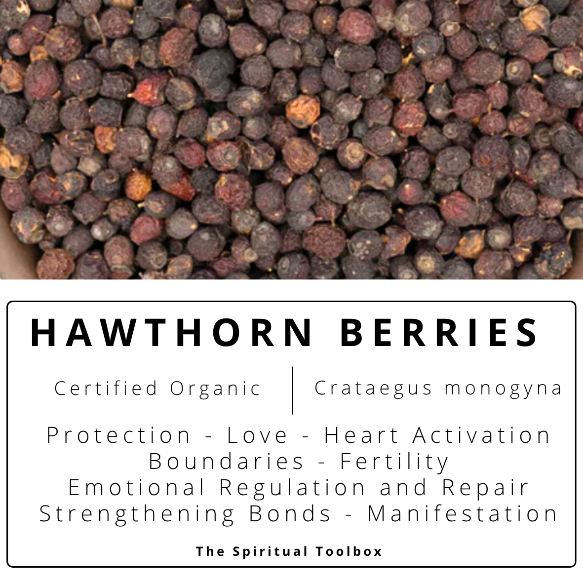 Hawthorn Berries | Love - Fertility - Strengthening Bonds - Manifestation