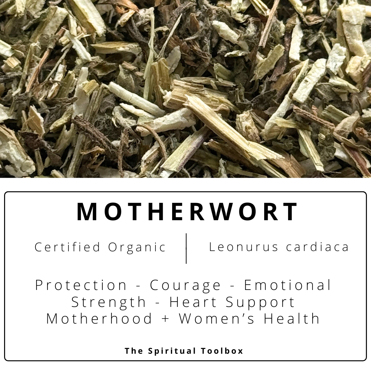 Motherwort | Protection - Courage - Heart Support - Woman's Wellbeing