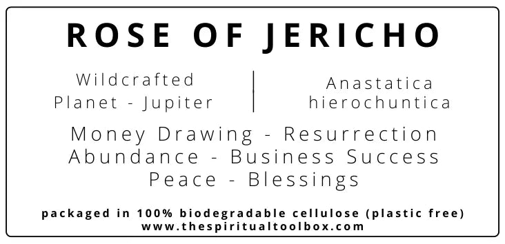 Rose of Jericho The Spiritual Toolbox
