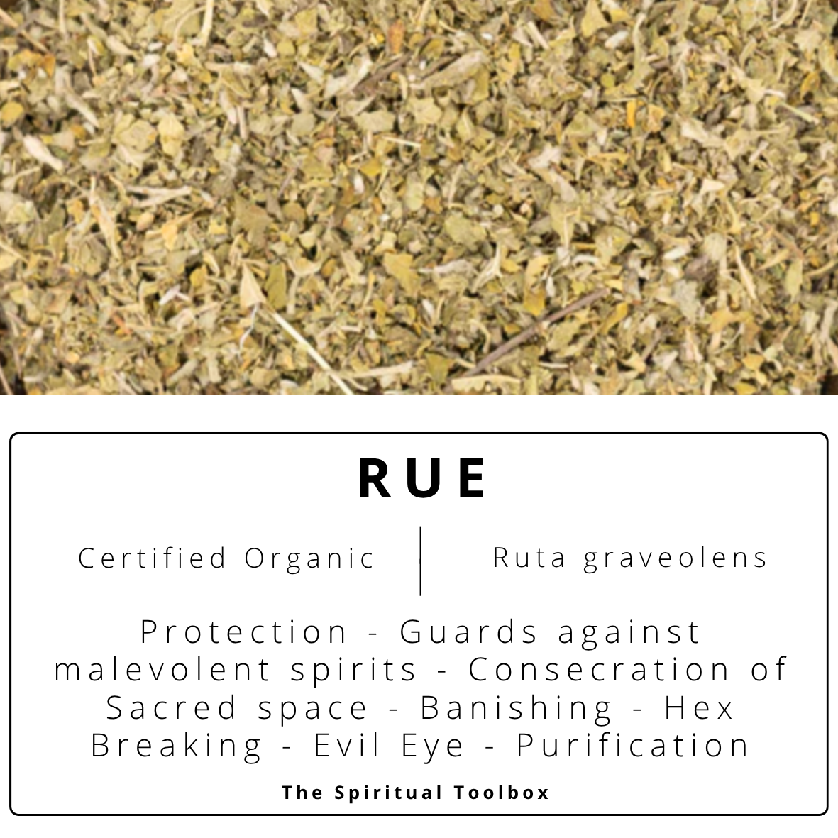 Rue | Protection - Banishing - Hex Breaking - Evil Eye Defence