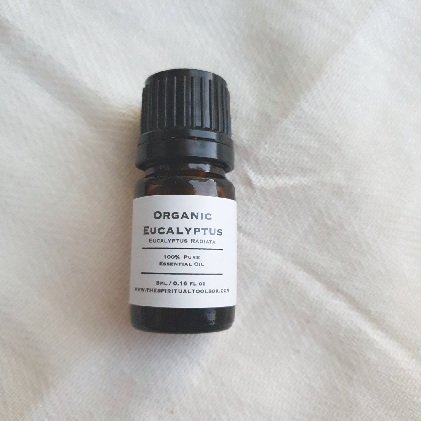 Eucalyptus Radiata - 5ml - Organic