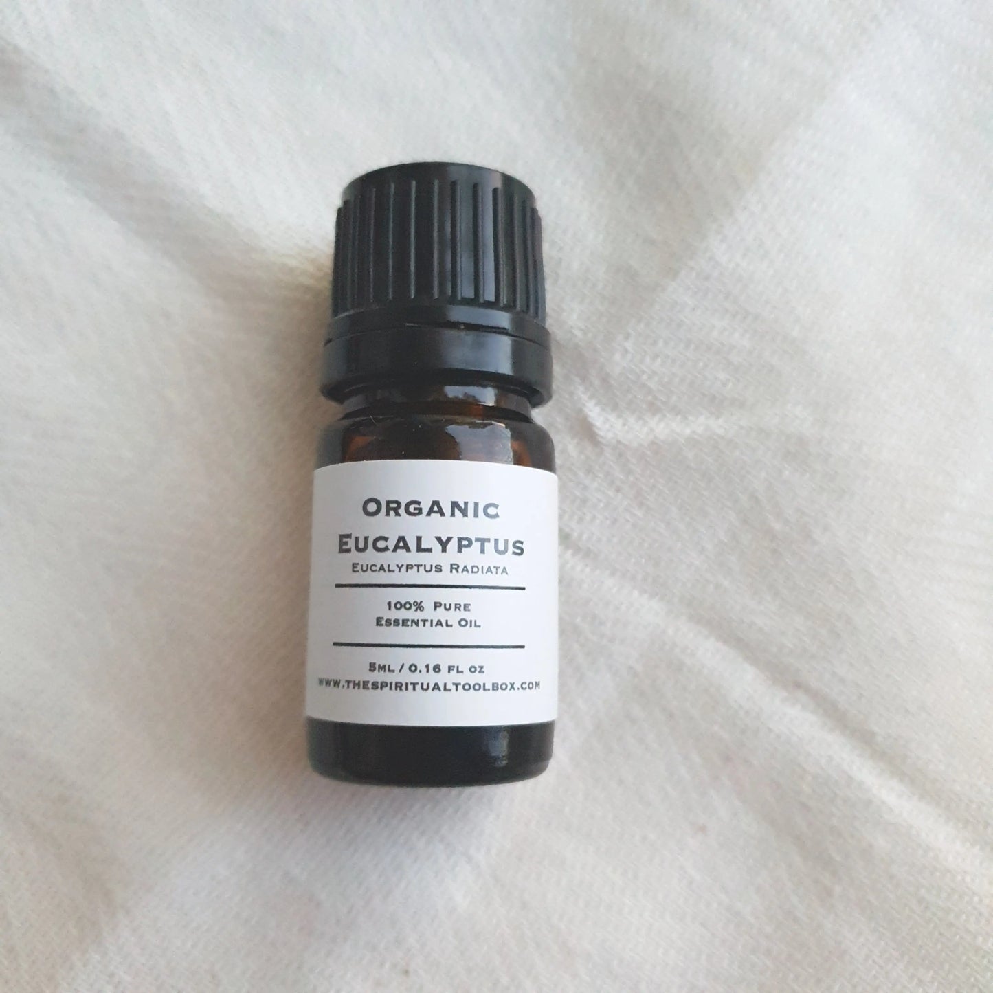 Eucalyptus Radiata - 5ml - Organic The Spiritual Toolbox