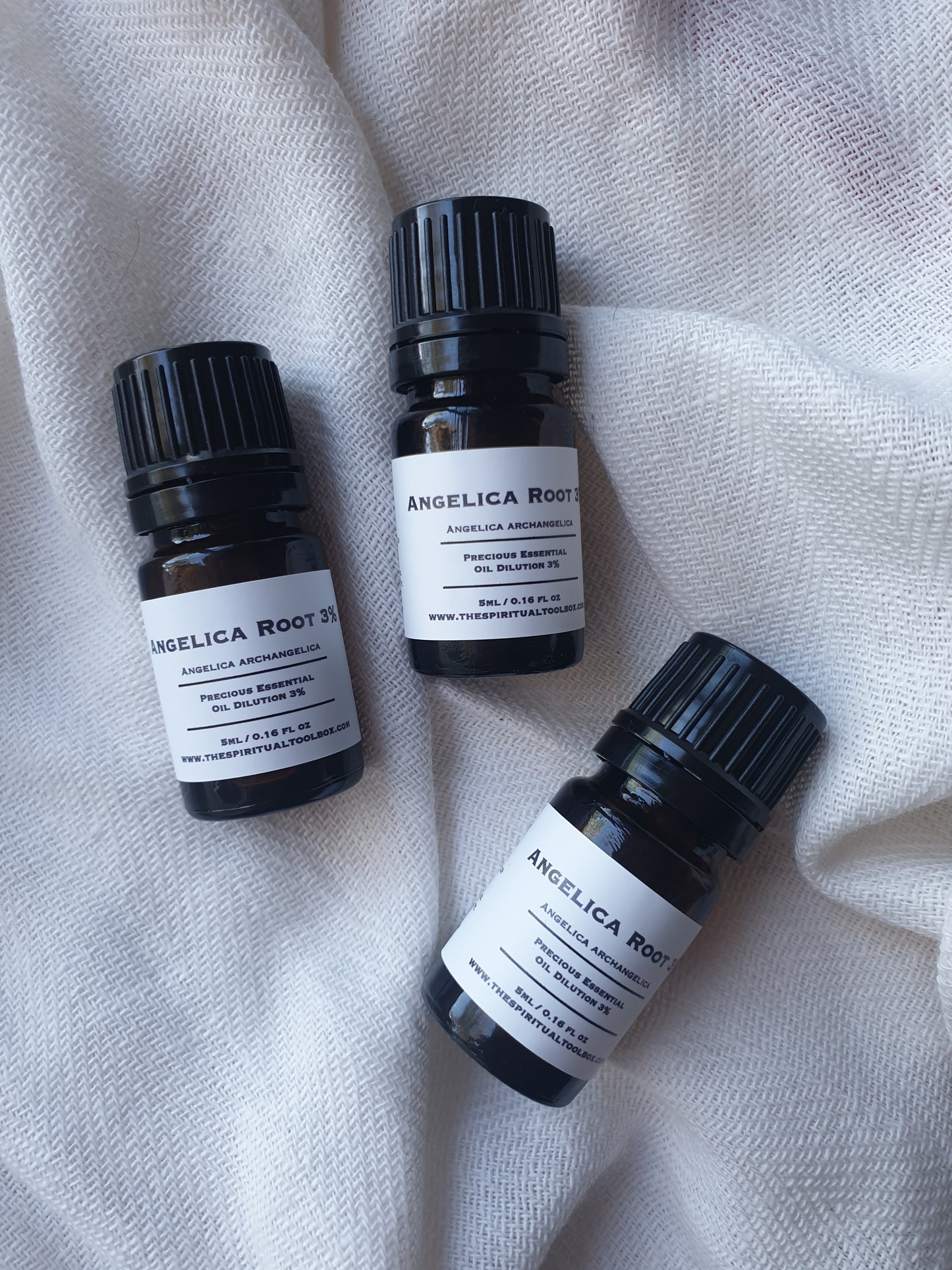 Angelica Root 3% - 5ml