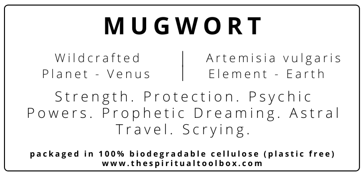 Mugwort