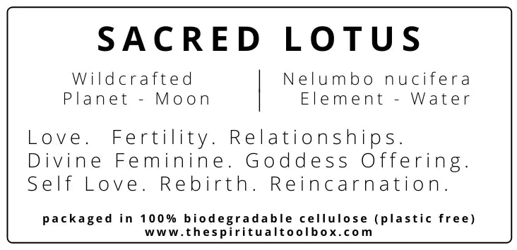 Sacred Lotus Flower The Spiritual Toolbox