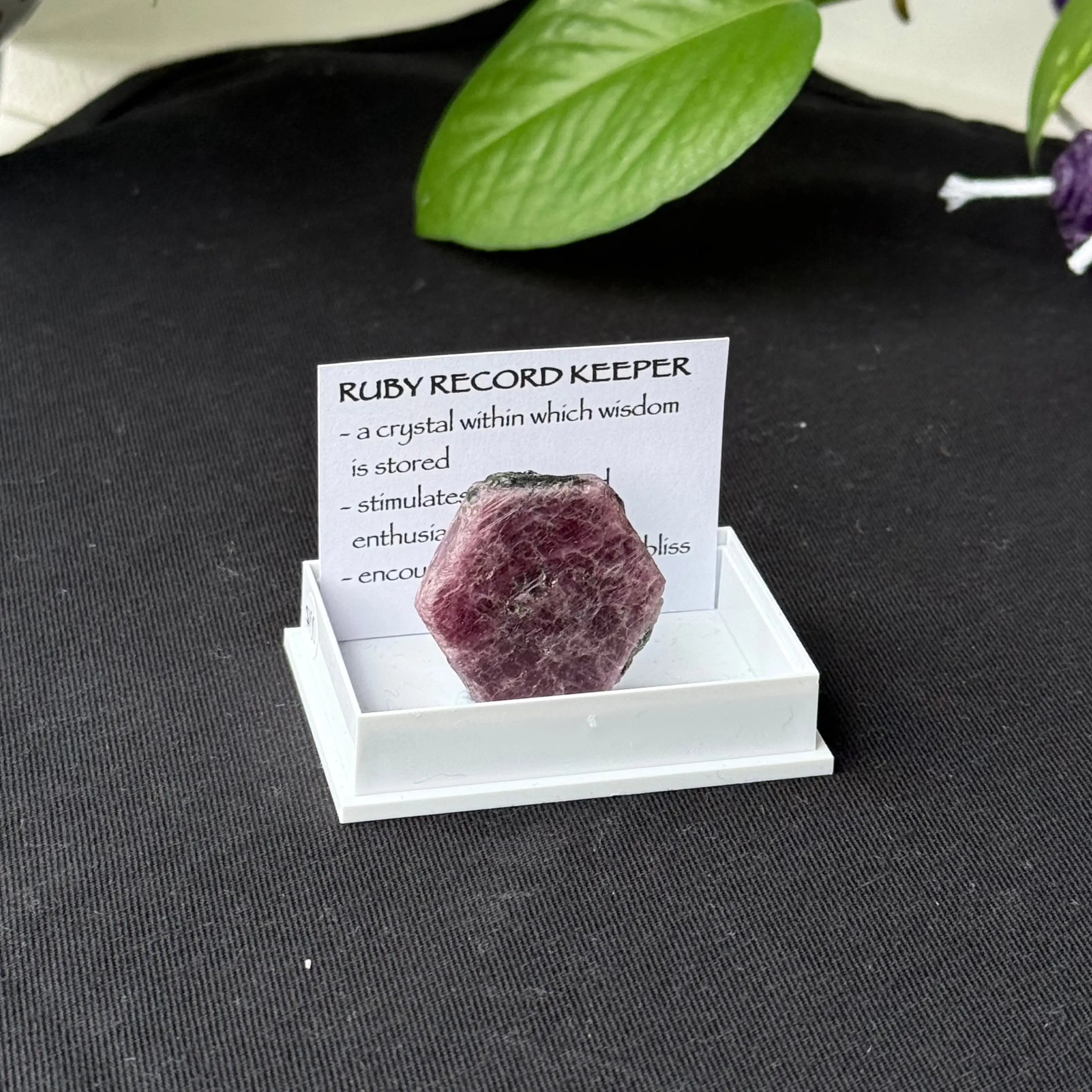 Ruby Repro Box Ruby Record Keeper - A - Specimen - The Spiritual Toolbox