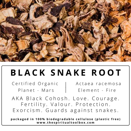 Black Snake Root (Black Cohosh) | Protection - Healing - Empowerment - Transformation