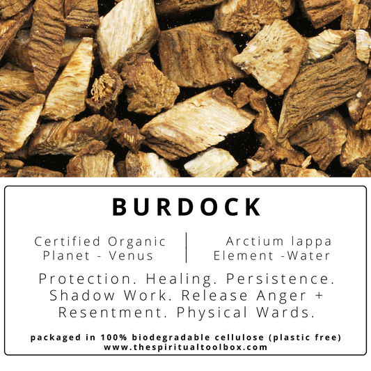 Burdock | Protection - Healing - Purification - Grounding