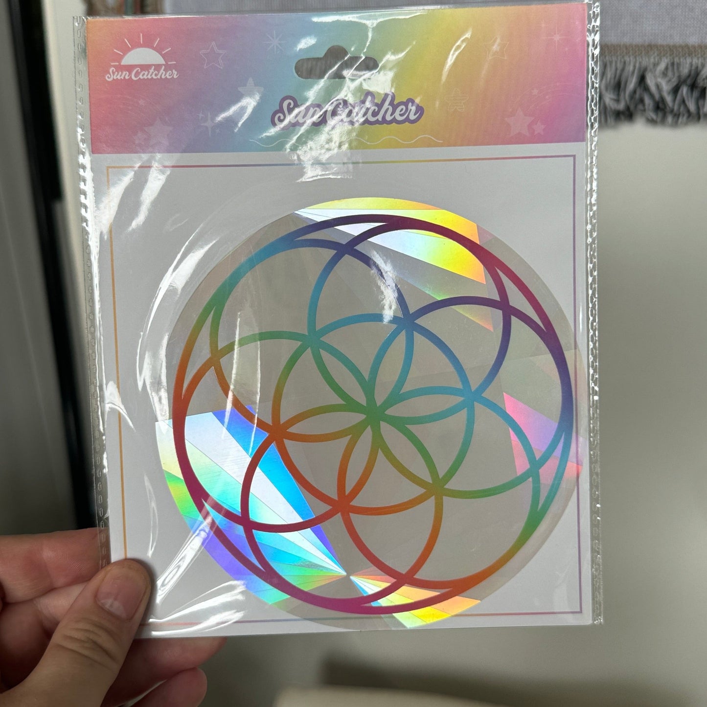 Window Sun Catcher Sticker Decal