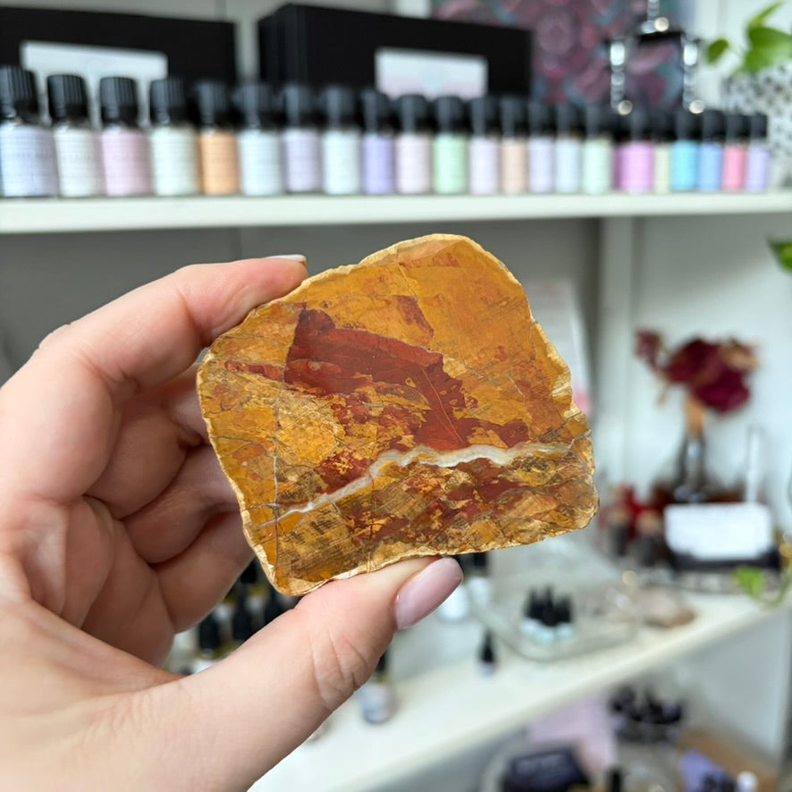 Petrified Wood Crystal Specimen | AUS