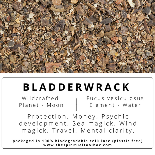 Bladderwrack | Healing - Prosperity - Psychic Power