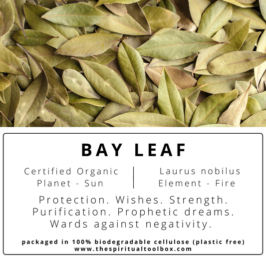 Bay Leaf | Protection - Strength - Success - Prosperity