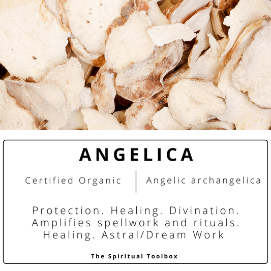 Angelica | Protection - Exorcism - Spiritual Authority - Healing