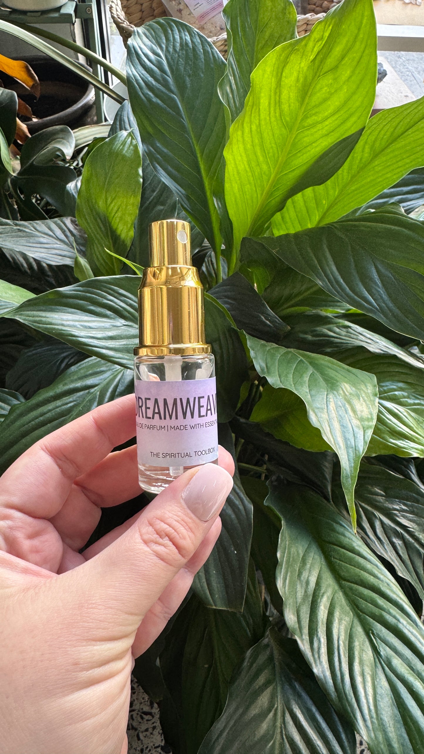 Dreamweaver | Eau De Parfum