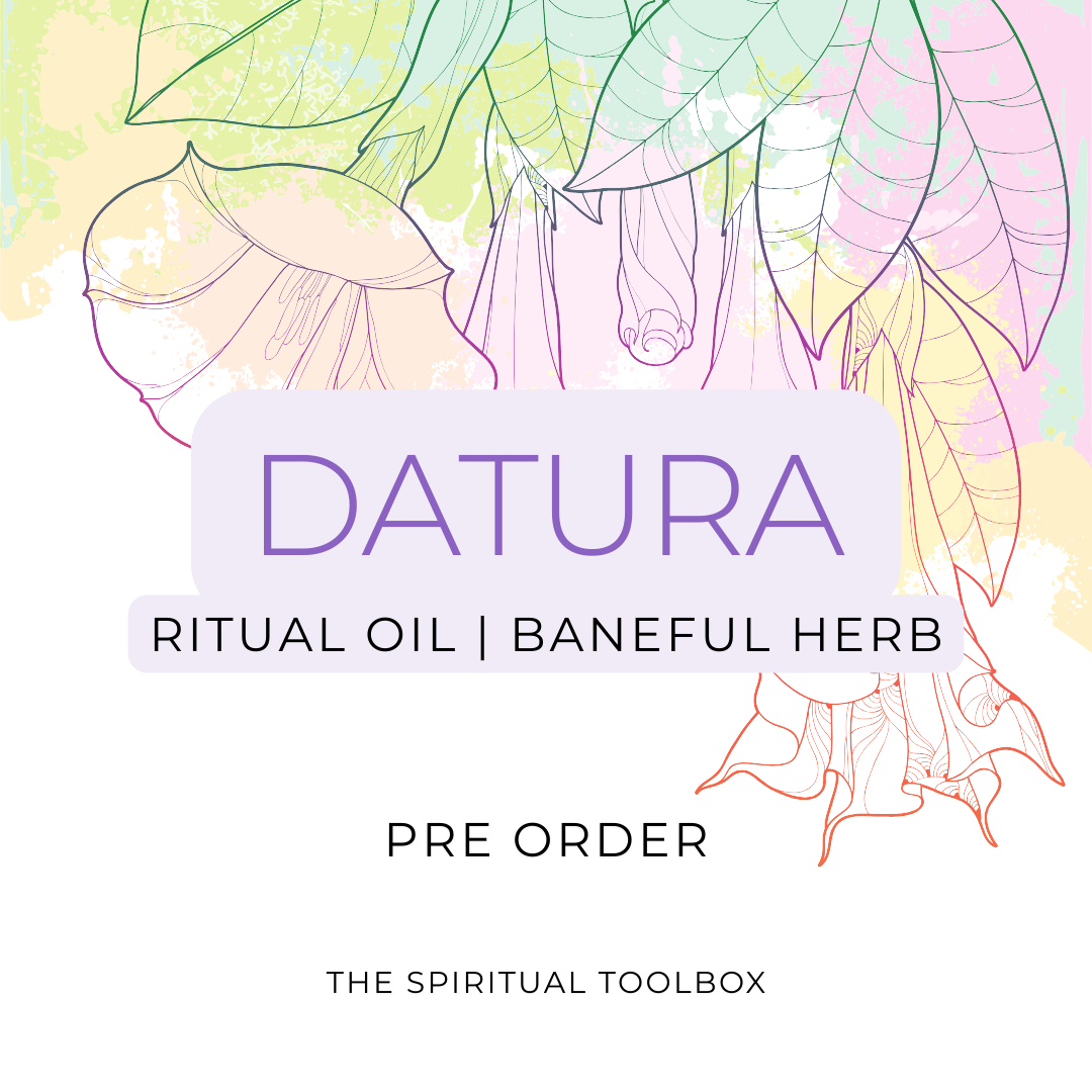 Datura (Brugmansia Sanguinea) Ritual Oil | Baneful