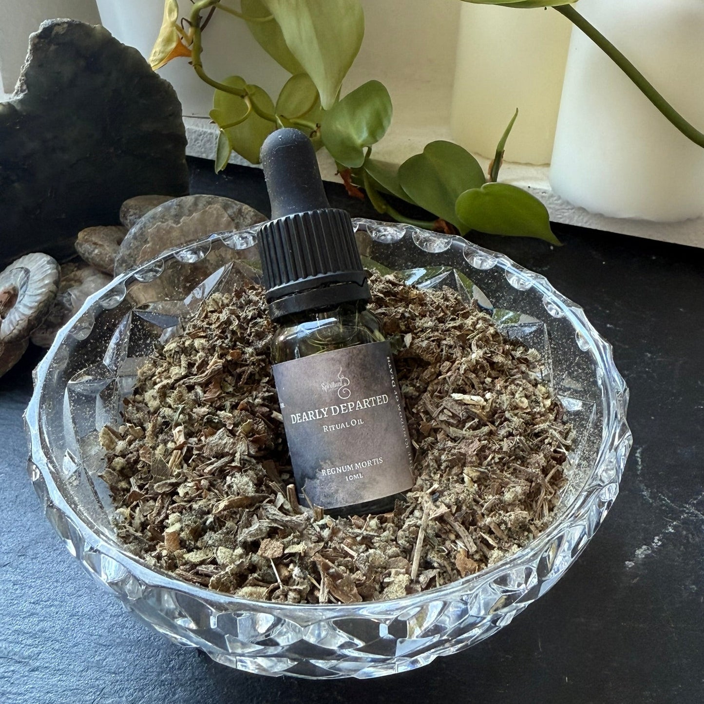 Dearly Departed ~ Regnum Mortis (Ancestors) - Arcane Ritual Oil 10ml