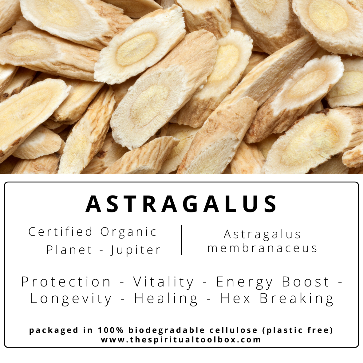 Astragalus | Vitality - Energy Boost - Longevity