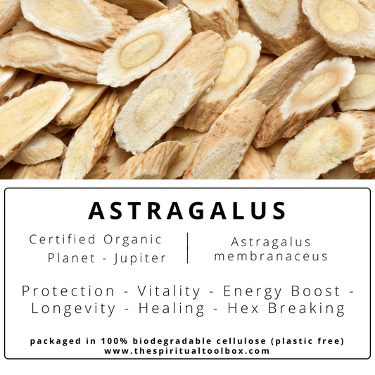 Astragalus | Vitality - Energy Boost - Longevity