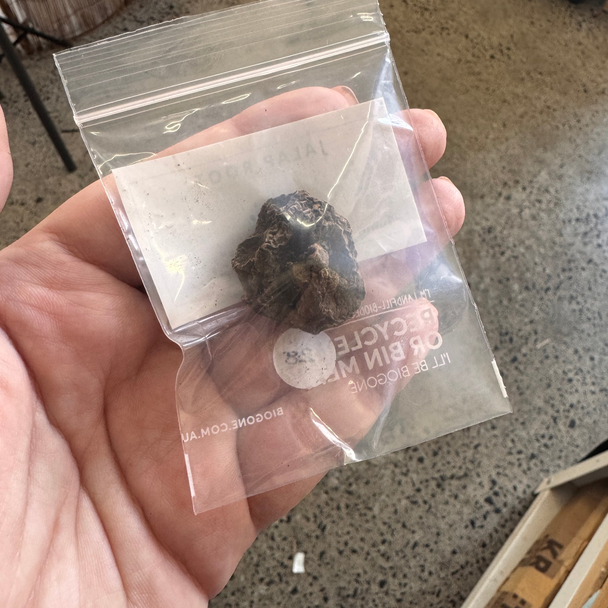 Hand holding a small rock or mineral in a clear plastic bag with text on it.