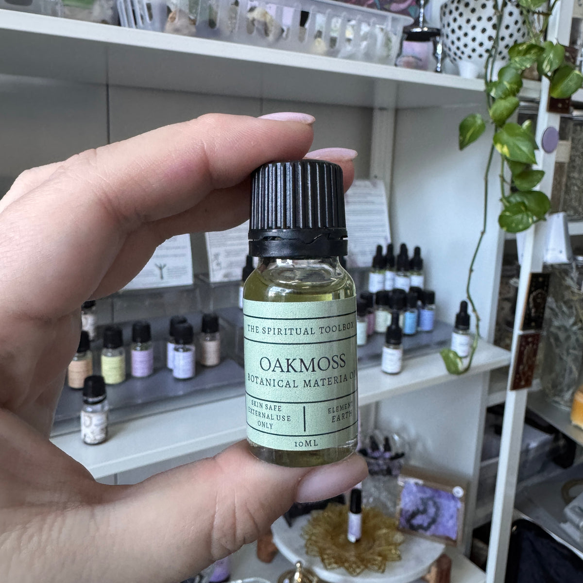 Oakmoss | Botanical Materia Oil | 10ml | Skin Safe