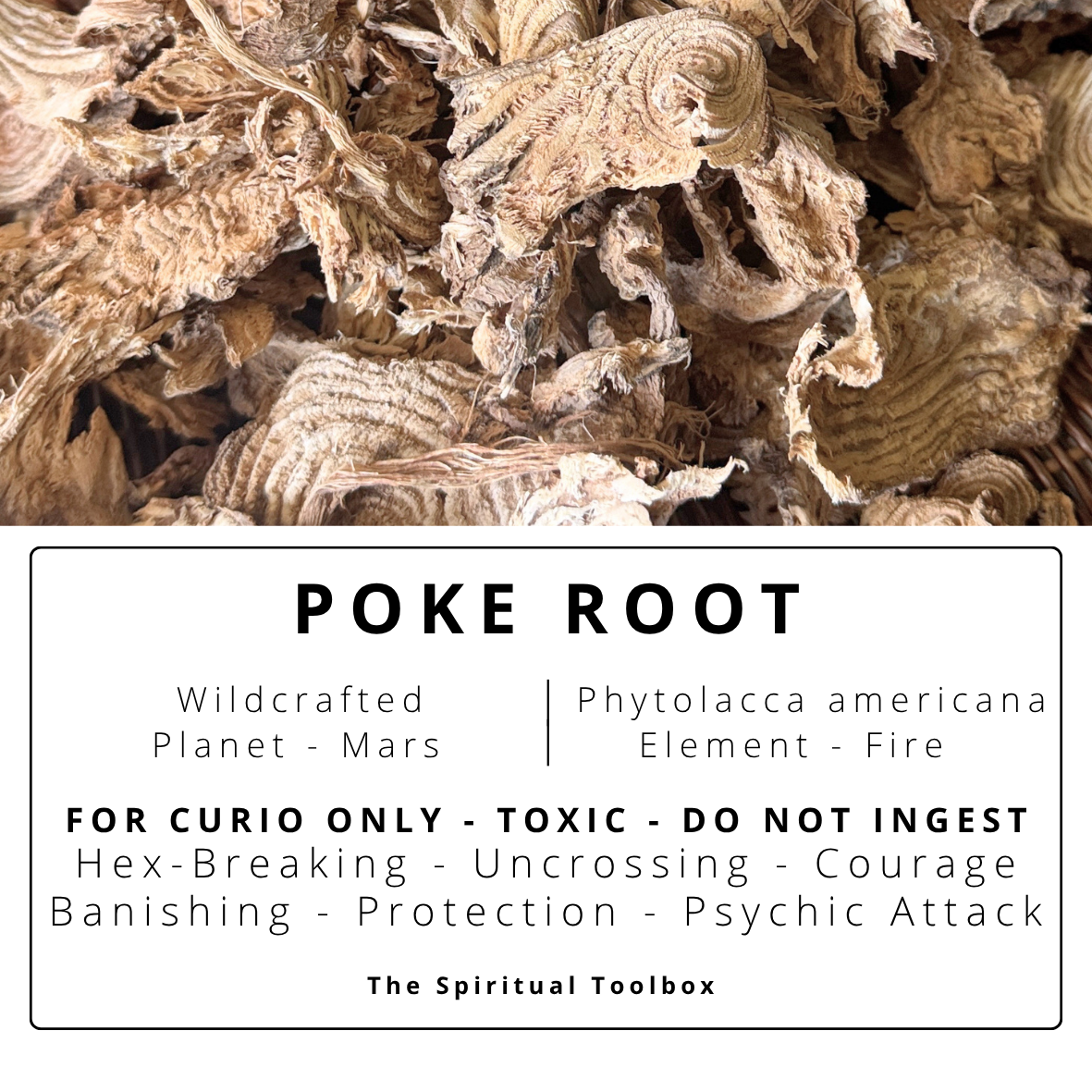 Poke Root | Banishing - Protection - Hex Breaking - Uncrossing