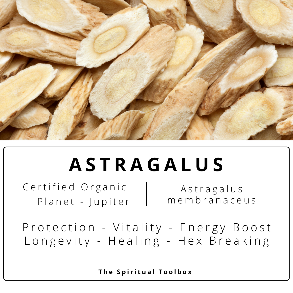 Astragalus | Vitality - Energy Boost - Longevity