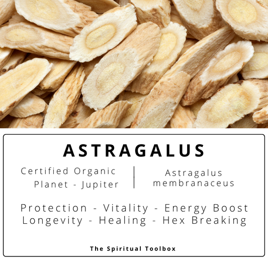 Astragalus | Vitality - Energy Boost - Longevity