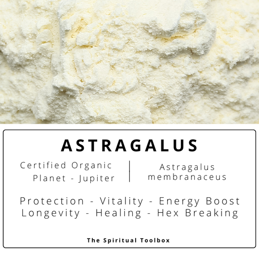 Astragalus (powder) | Vitality - Energy Boost - Longevity