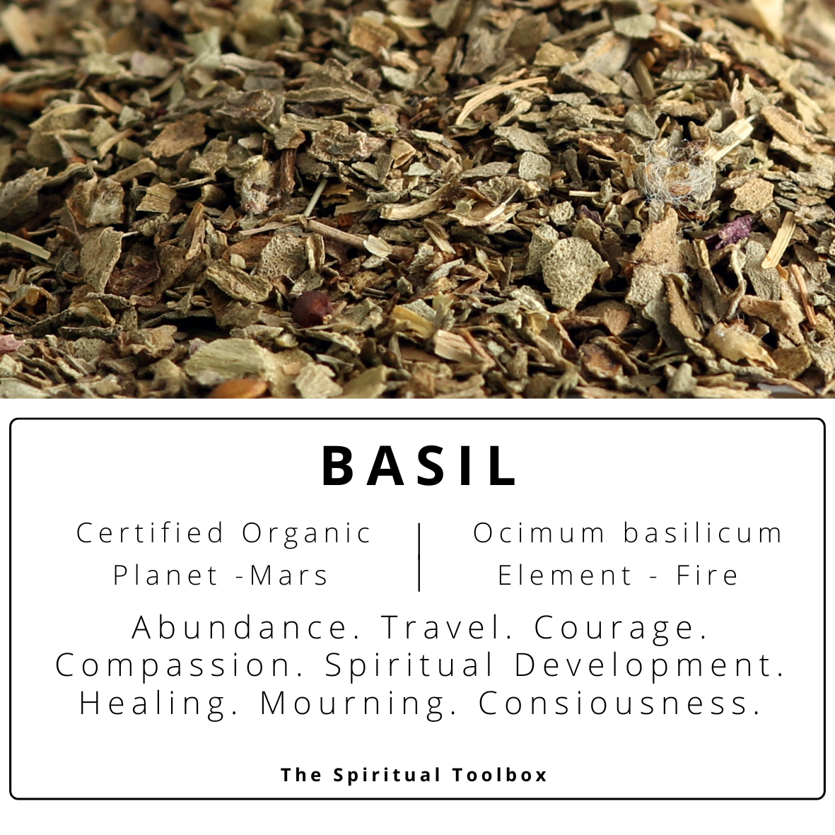 Basil | Healing - Travel - Prosperity - Love