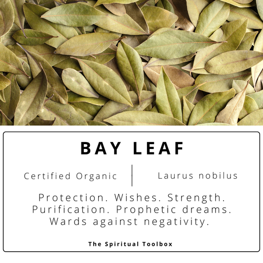 Bay Leaf | Protection - Strength - Success - Prosperity - Manifestation
