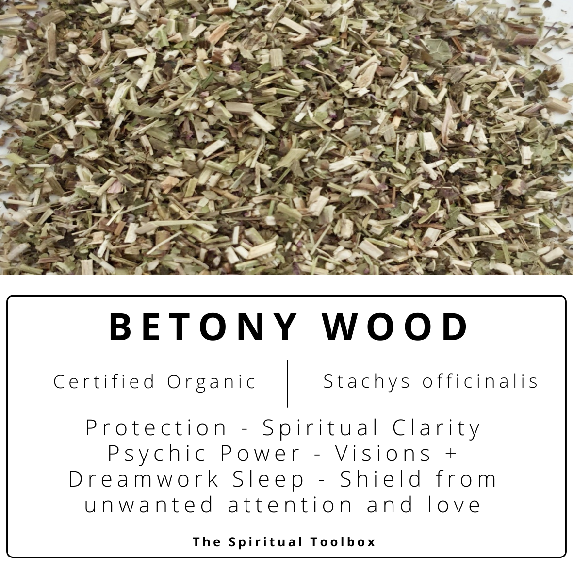 Betony Wood | Protection - Nightmares - Shielding - Spiritual Clarity