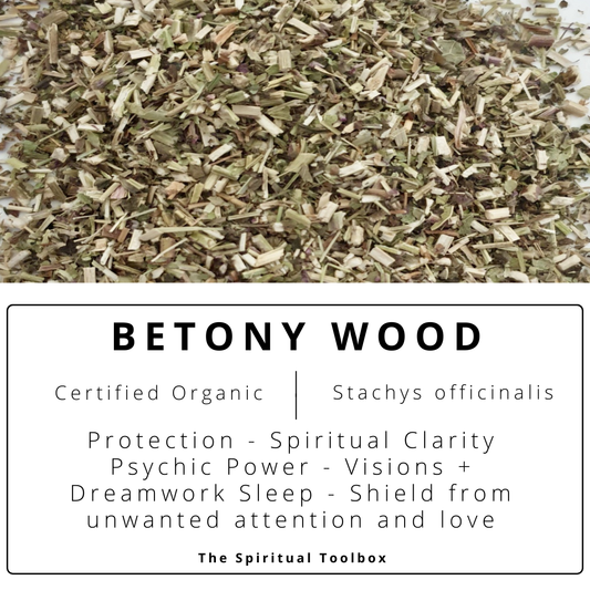 Betony Wood | Protection - Nightmares - Shielding - Spiritual Clarity