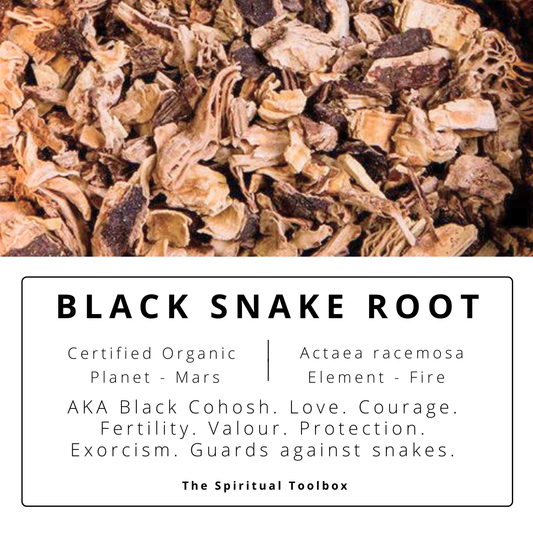 Black Snake Root (Black Cohosh) | Protection - Healing - Empowerment - Transformation