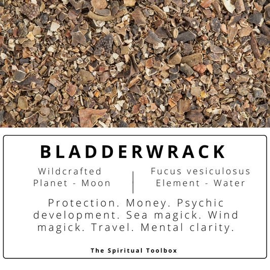 Bladderwrack | Sea magick - Healing - Prosperity - Psychic Powers