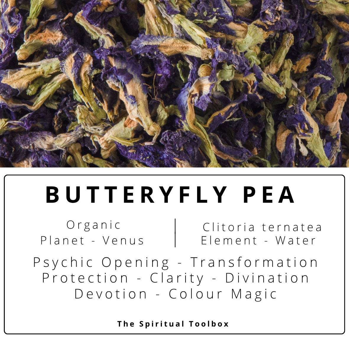 Butterfly Pea | Clarity - Creativity - Spiritual Growth - Insight